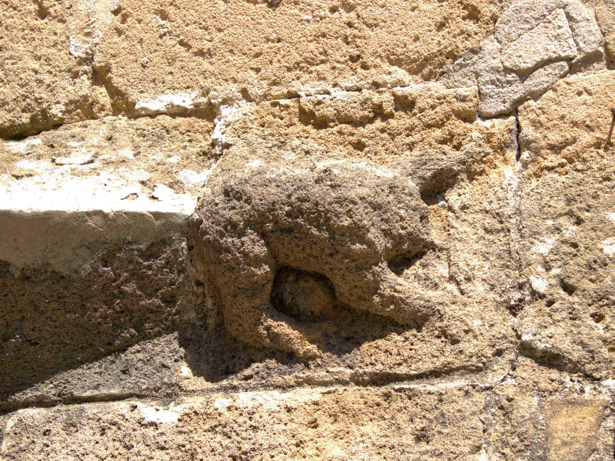 Figura animale in altorilievo della Torre di Porta Terra - Porta Real.